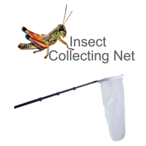 Insect Collecting Net ‘Executive’ (Telescopic)
